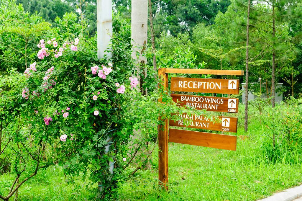 Ngoc Quang Flamingo Dai Lai Resort מראה חיצוני תמונה